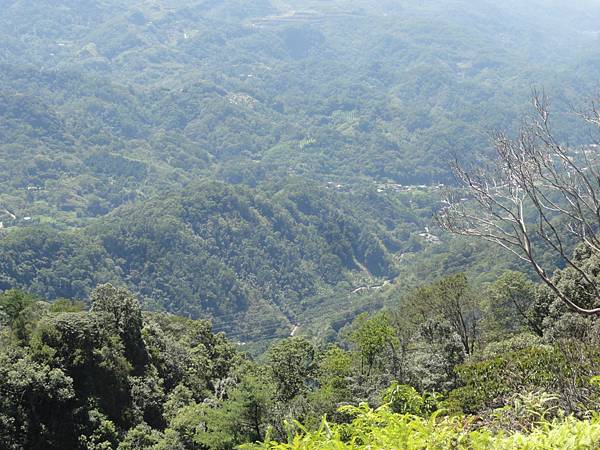 DSC06183.jpg DSC06183.jpg