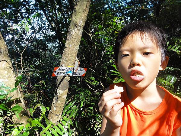 DSC06203.jpg DSC06203.jpg