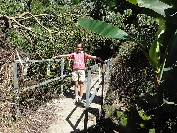 DSC06205.jpg DSC06205.jpg