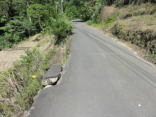 DSC06208.jpg DSC06208.jpg