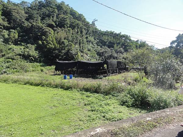 DSC06215.jpg DSC06215.jpg