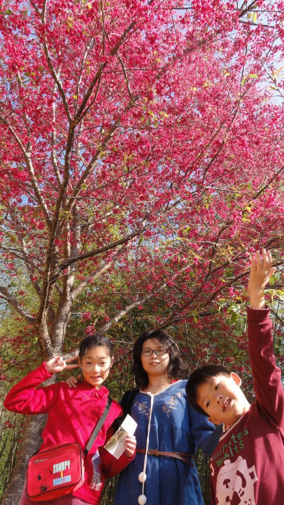 DSC07028.jpg DSC07028.jpg