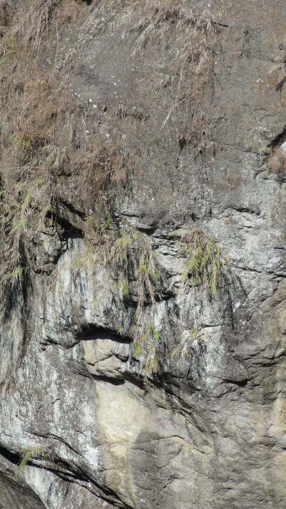 DSC07084.jpg DSC07084.jpg