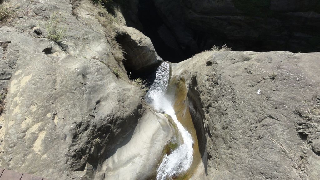 DSC07111.jpg DSC07111.jpg