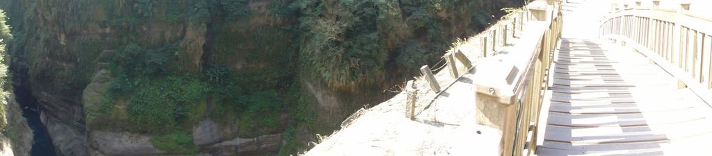 DSC07113.jpg DSC07113.jpg