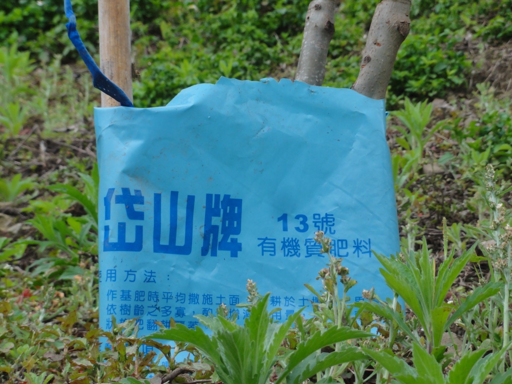 DSC07187.jpg DSC07187.jpg