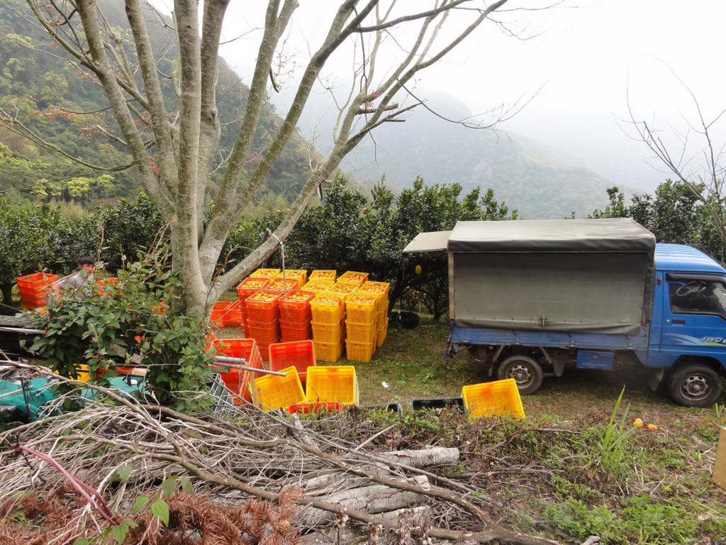 DSC07196.jpg DSC07196.jpg