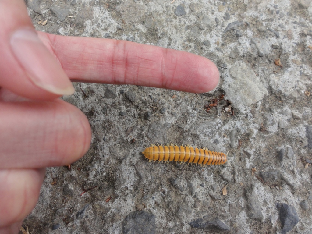 DSC07197.jpg DSC07197.jpg