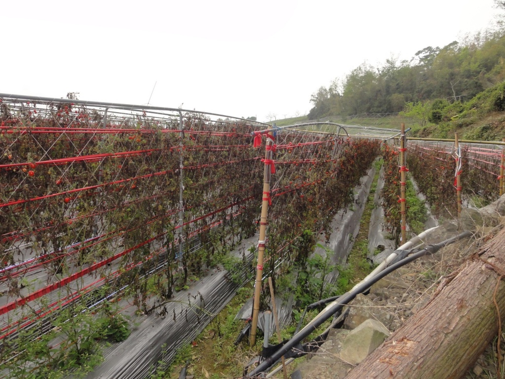 DSC07199.jpg DSC07199.jpg