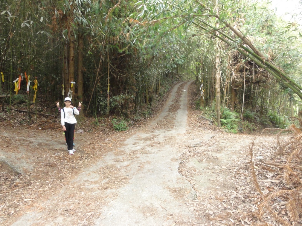 DSC07202.jpg DSC07202.jpg