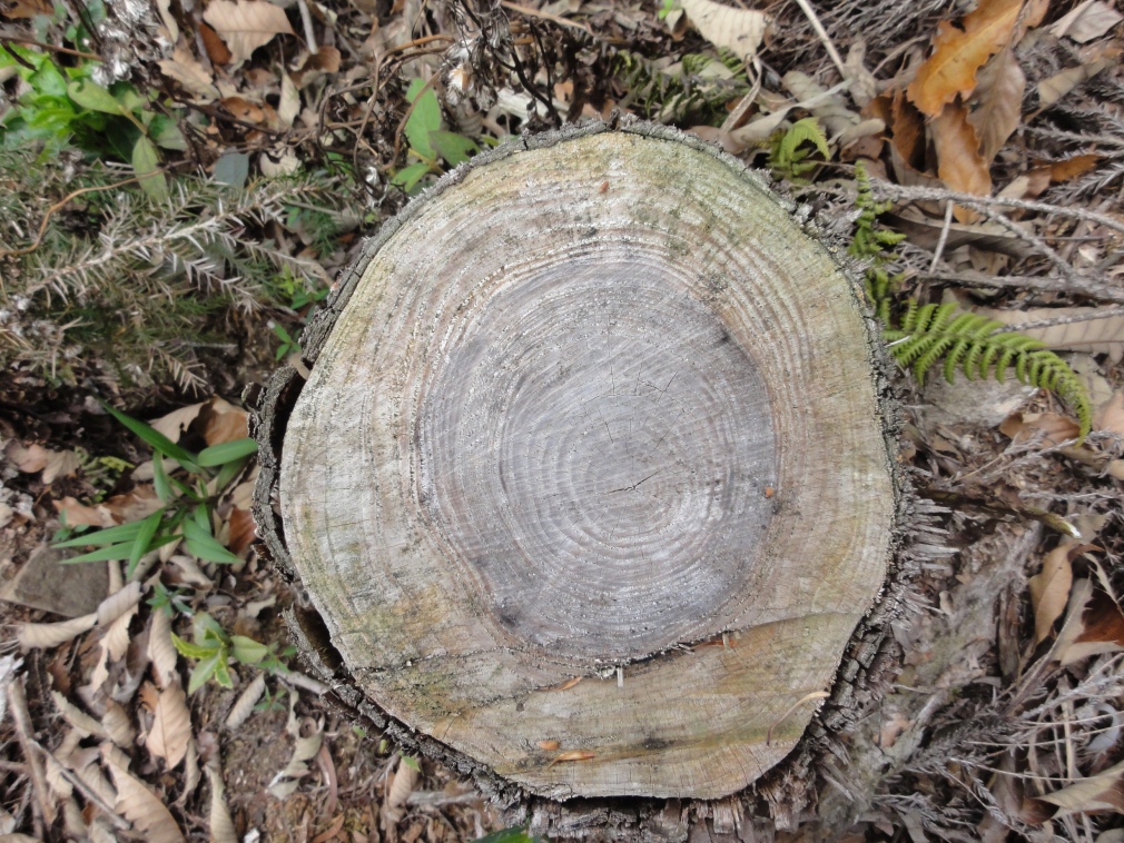 DSC07210.jpg DSC07210.jpg