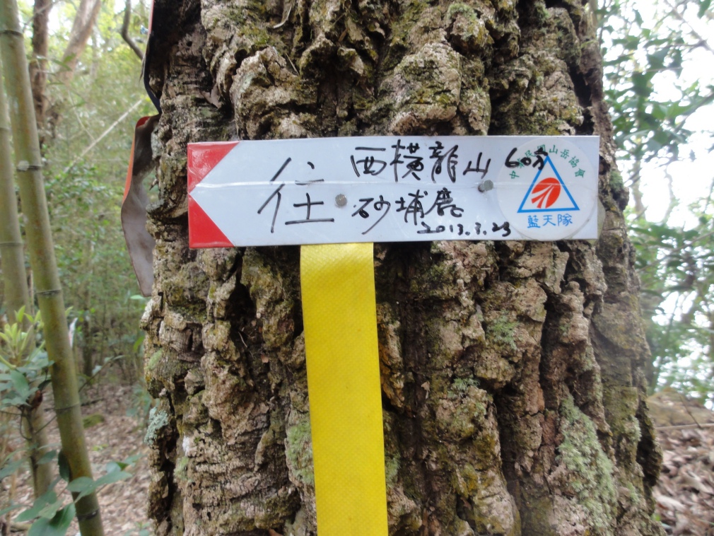 DSC07223.jpg DSC07223.jpg