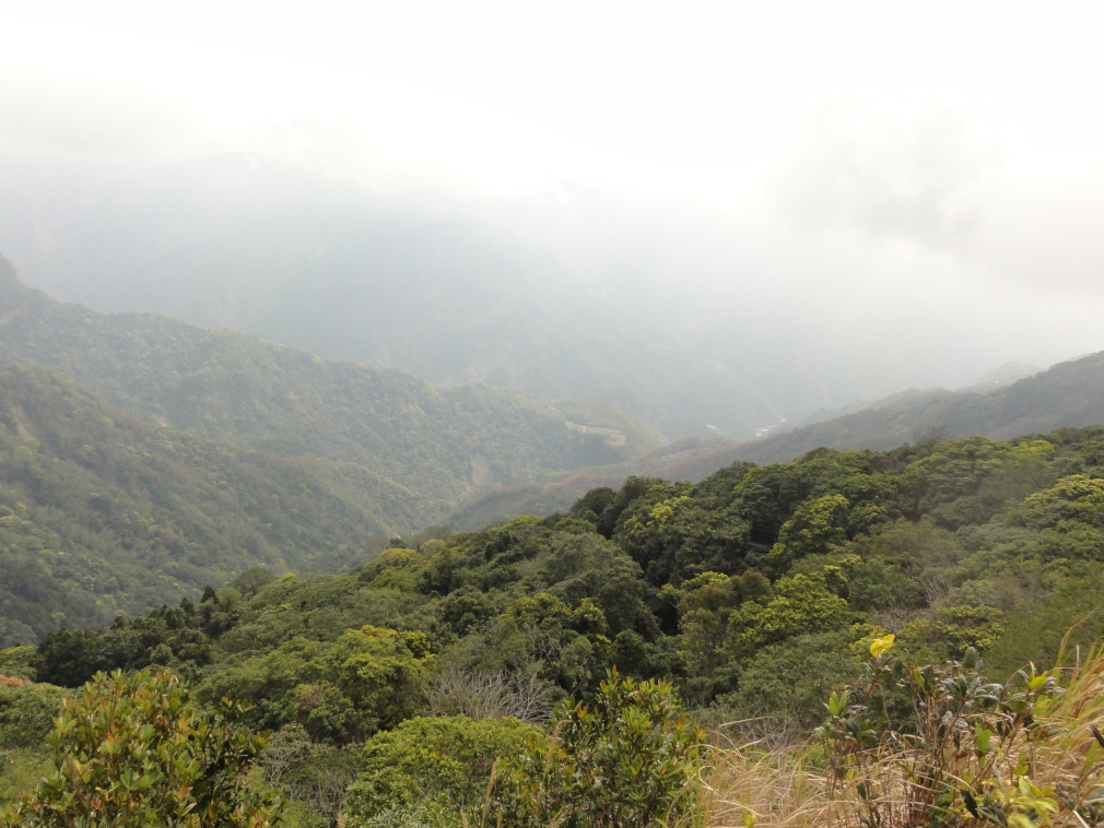 DSC07254.jpg DSC07254.jpg