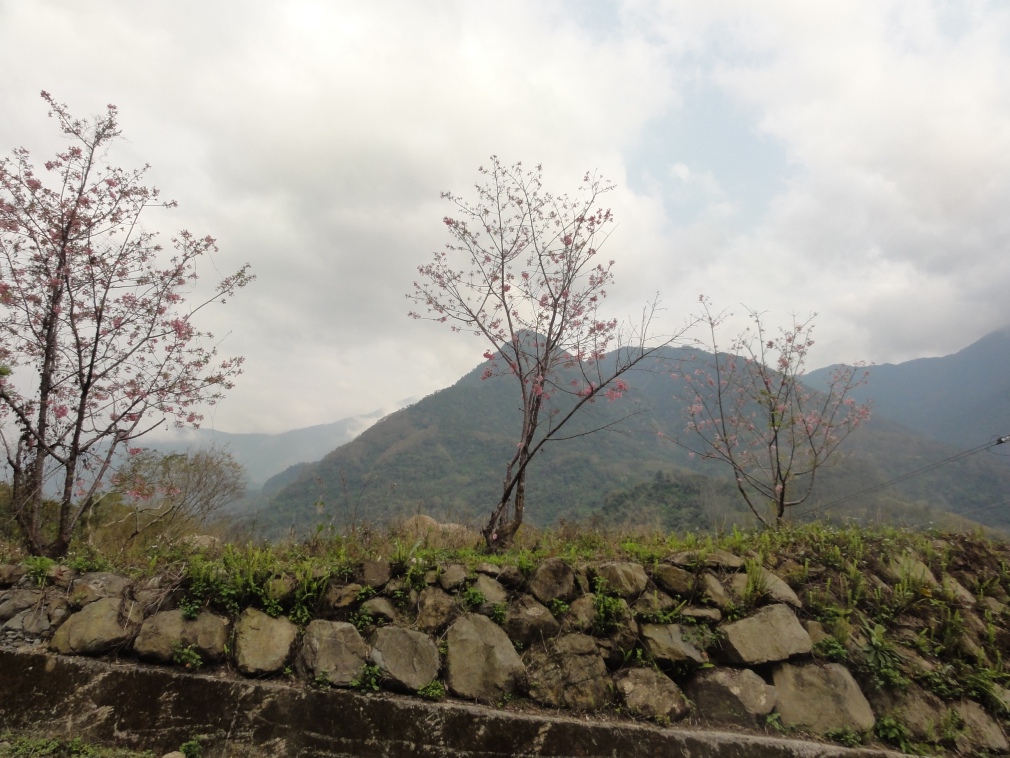 DSC07281.jpg DSC07281.jpg