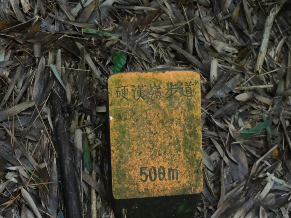 DSC07465.jpg DSC07465.jpg