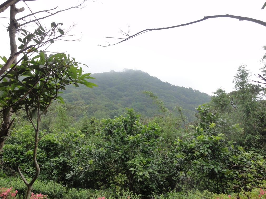 DSC07484.jpg DSC07484.jpg