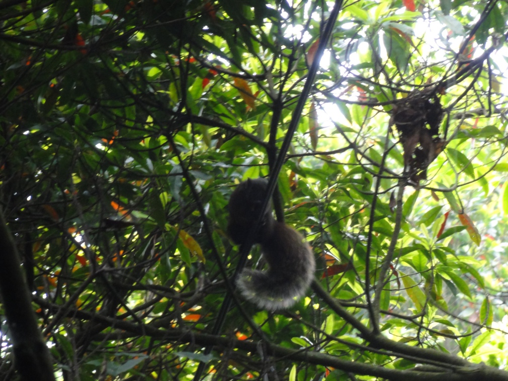 DSC07489.jpg DSC07489.jpg