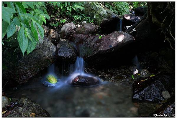 IMG_8629_調整大小.JPG IMG_8629_調整大小.JPG