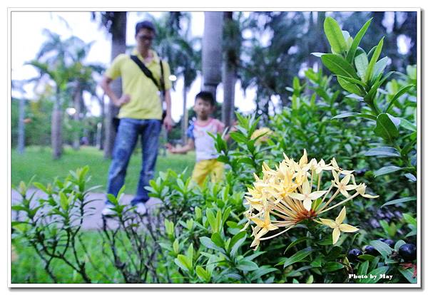 DSC_7463_調整大小.JPG DSC_7463_調整大小.JPG