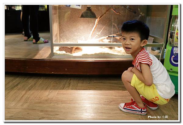 IMG_0522_調整大小.JPG IMG_0522_調整大小.JPG