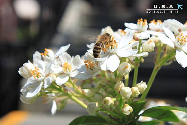 0000_30.jpg 0000_30.jpg