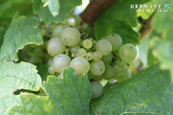 day10_05.jpg day10_05.jpg