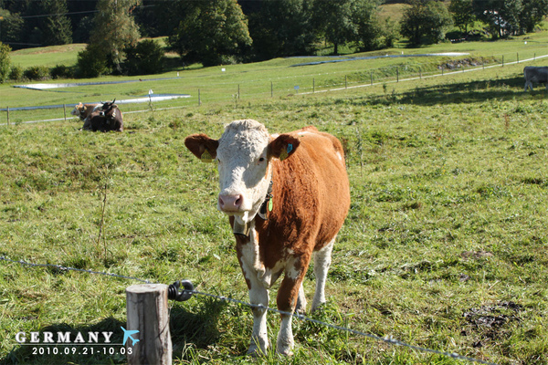 day02_10.jpg day02_10.jpg