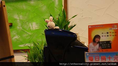 咖啡機上的兔兒 咖啡機上的兔兒