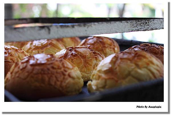 IMG_6911.JPG IMG_6911.JPG