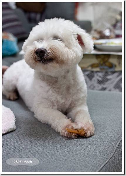 20111113-IMG_7699.jpg 20111113-IMG_7699.jpg