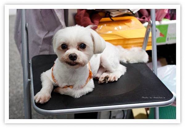 20111121-IMG_7741.jpg 20111121-IMG_7741.jpg