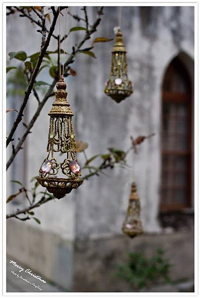 20121223-IMG_1896 20121223-IMG_1896