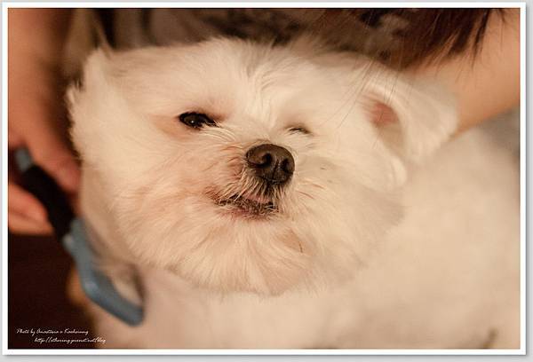 20130120-IMG_2386 20130120-IMG_2386