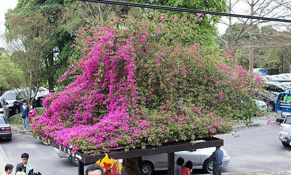 IMG_5613.jpg IMG_5613.jpg