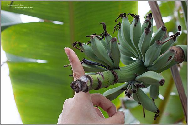 IMG_5614.jpg IMG_5614.jpg