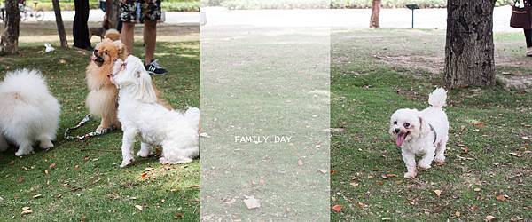 family day.jpg family day.jpg