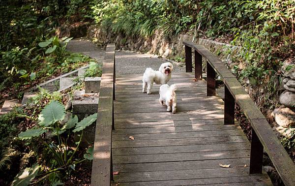 IMG_5950.jpg IMG_5950.jpg