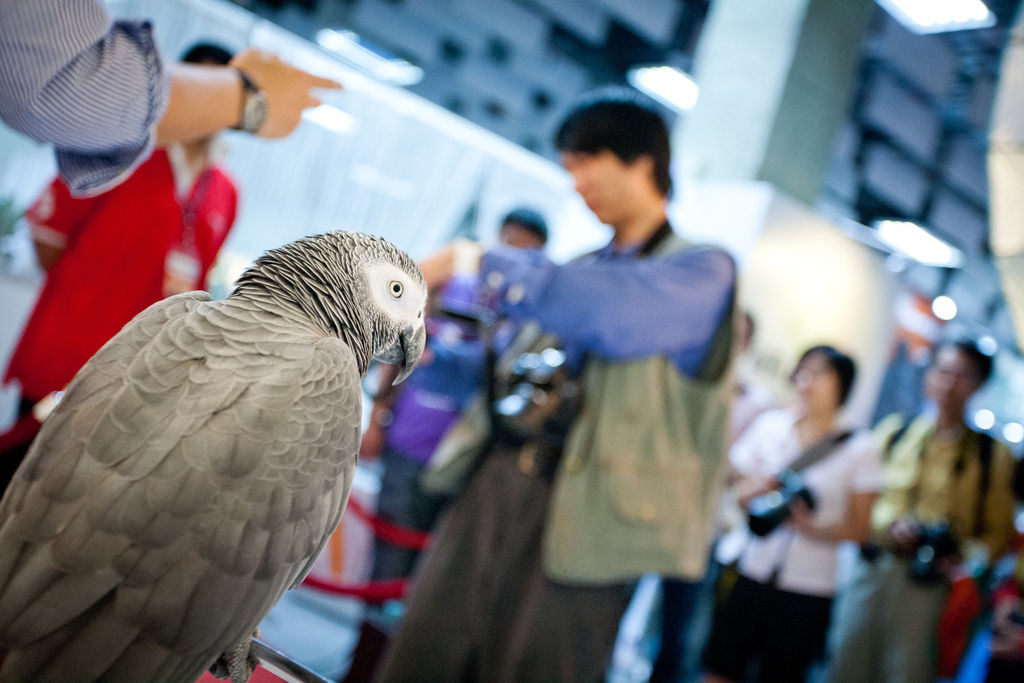 2012 台北國際攝影器材大展-Day4- 寶貝寵物怎麼拍才可愛