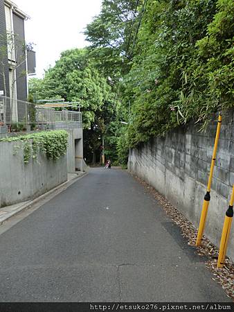 CIMG1637.JPG CIMG1637.JPG