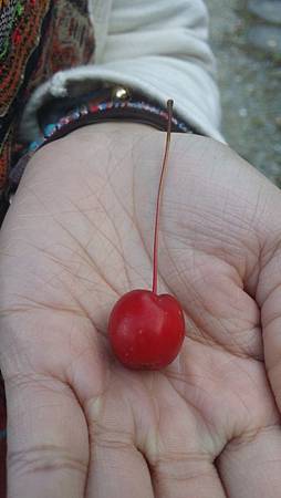 20141105_101256 20141105_101256