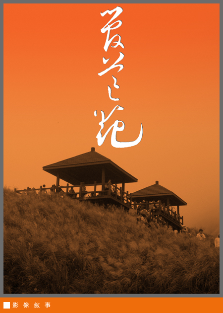 芒花01.jpg 芒花01.jpg