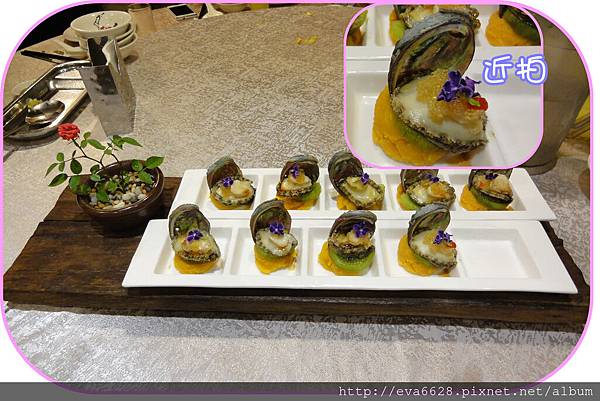 8~地瓜 鮑魚 8~地瓜 鮑魚