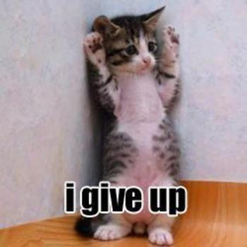 Igiveupkitty Igiveupkitty