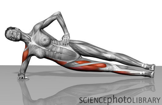 sideplank sideplank