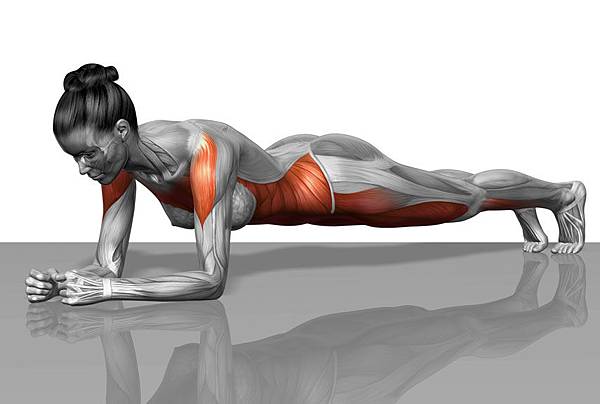 plank1 plank1