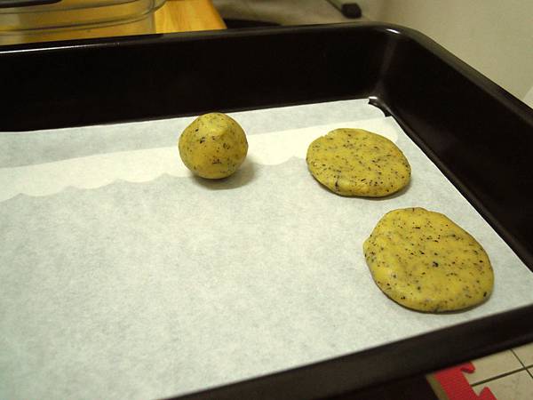 DSCN2818.JPG DSCN2818.JPG