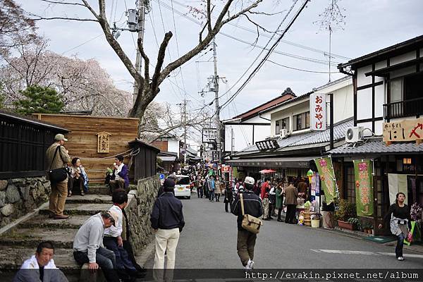 _KIN3961.jpg _KIN3961.jpg