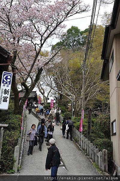 _KIN3965.jpg _KIN3965.jpg