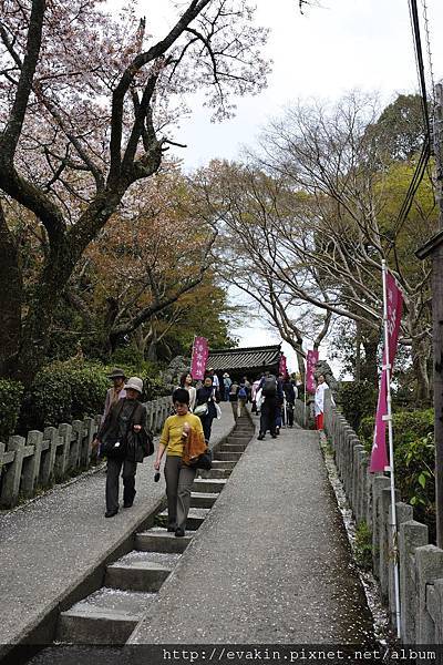 _KIN3966.jpg _KIN3966.jpg