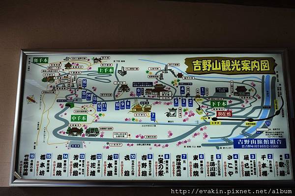 _KIN3872.jpg _KIN3872.jpg